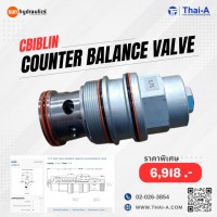 FLOW DIVIDER VALVE