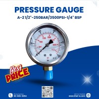 PRESSURE GAUGE