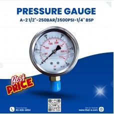 PRESSURE GAUGE