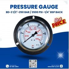 PRESSURE GAUGE