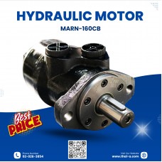 HYDRAULIC MOTOR