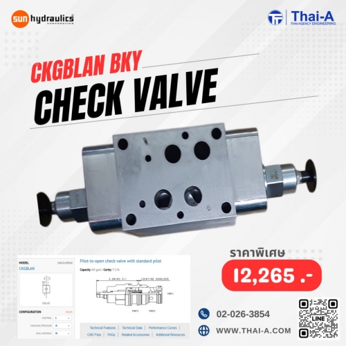 CHECK VALVE