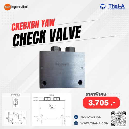 CHECK VALVE